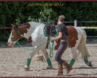1-13JUIN 0667
